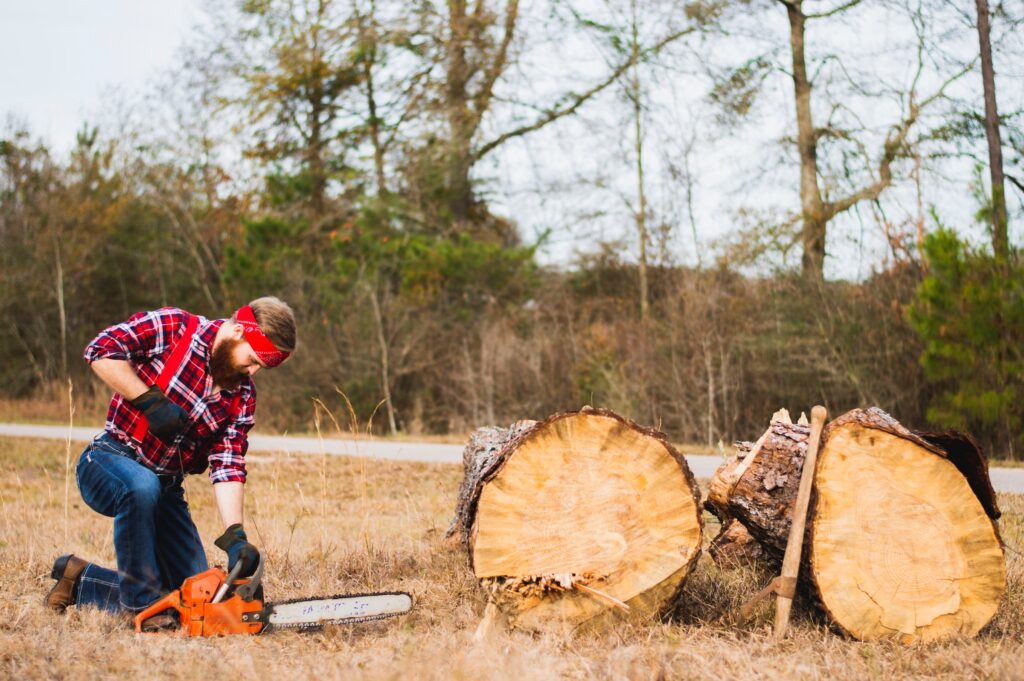Lumberjack using a chainsaw to cut two large tree trunks on the ground