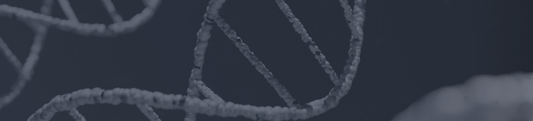 Zoomed in picture of DNA